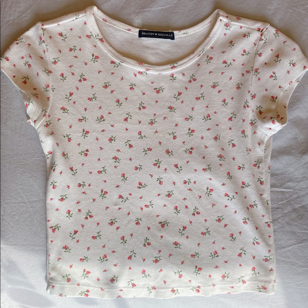brandy melville floral ashlyn top